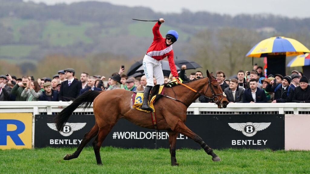 ‘Incredible’ Envoi Allen dies after collapsing following Cheltenham Gold Cup