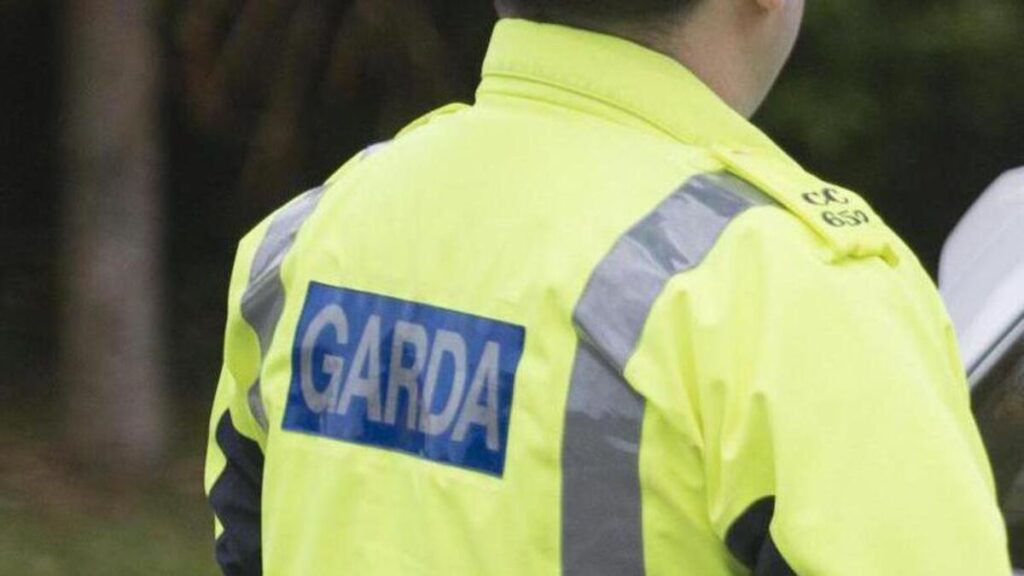 Woman arrested after robberies in Cork 