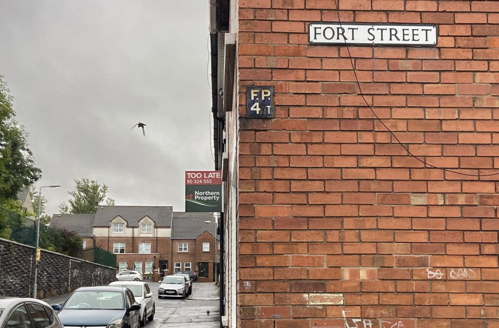 Man Accused of Hammer Attack on Woman Inside Her Own Home